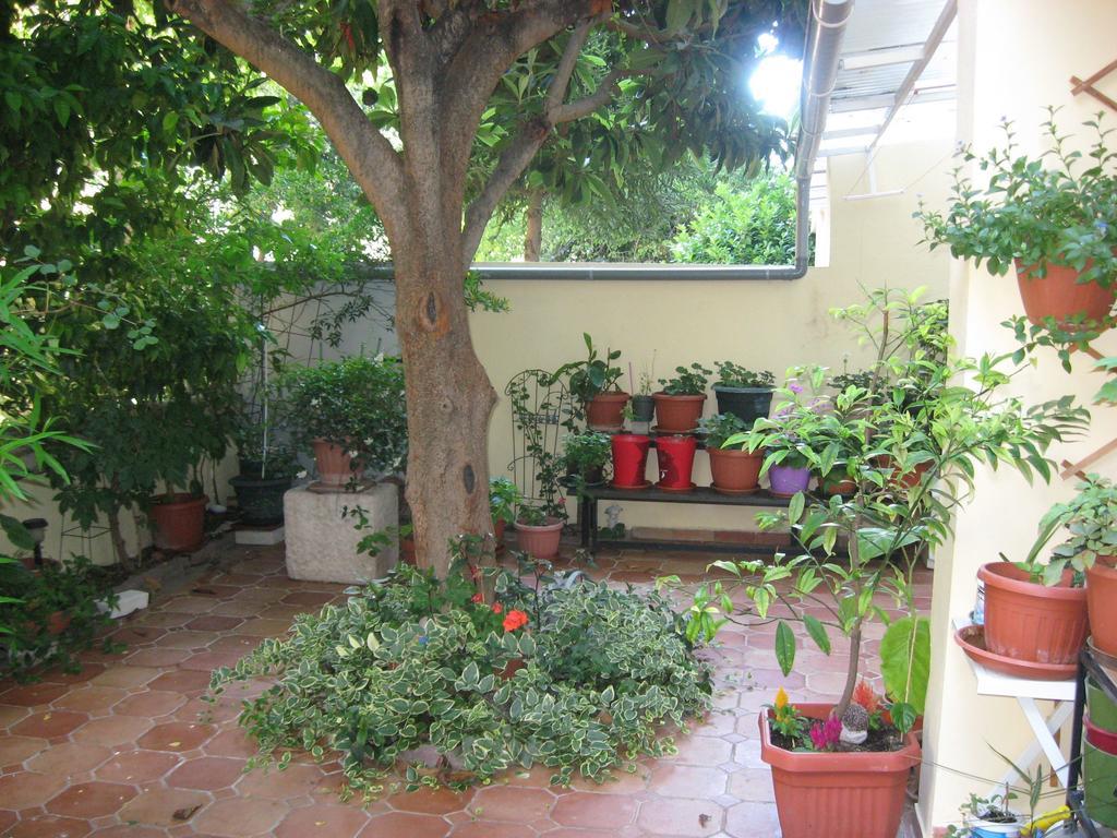 Studio Antonio Split Zimmer foto